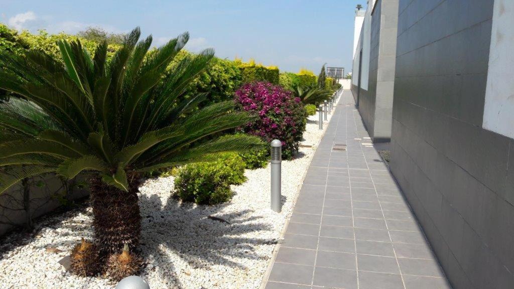 Oliva Nova - Golf&Beach Cabagua المظهر الخارجي الصورة